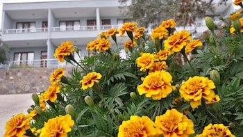assos nazan motel restoran beach