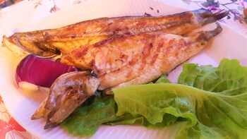 assos nazan motel restoran beach