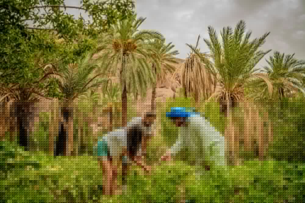 ecolodge ouednoujoum