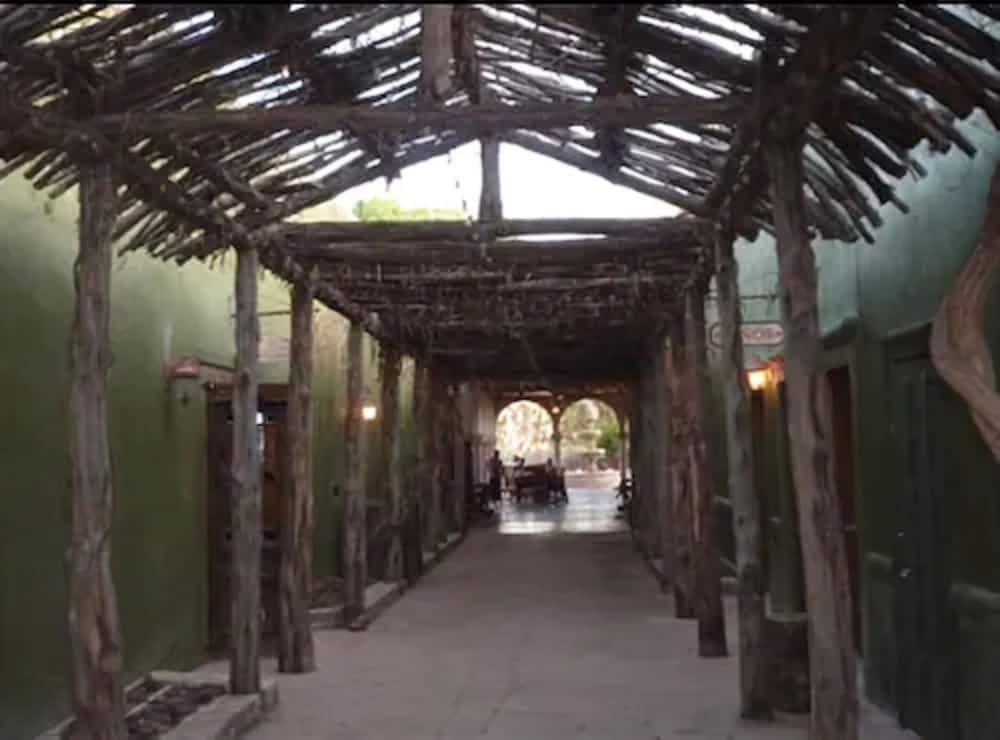 terlingua