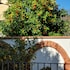 bandb firenze 400