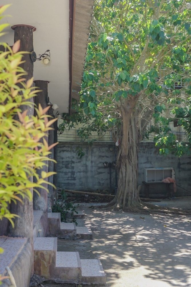 phi phi nice beach resort