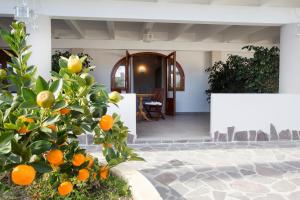 hotel tritone