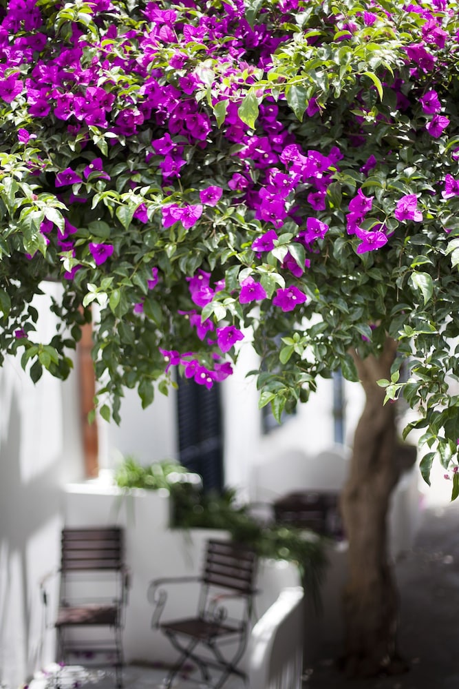 panarea