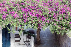 quartara boutique hotel
