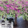 quartara boutique hotel