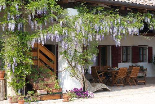 bandb ca cinel asolo
