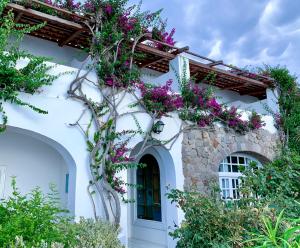 panarea