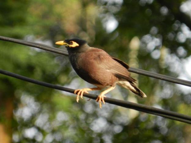 eeescart family resort