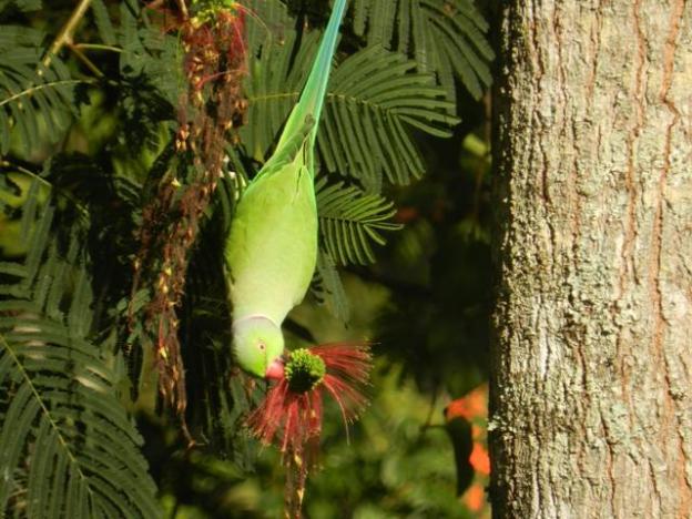 eeescart family resort