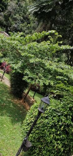 bandarawela