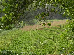 eeescart family resort