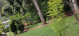 eeescart family resort