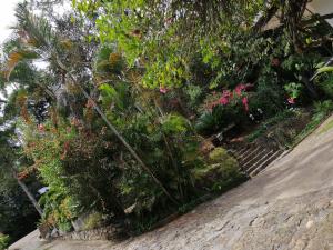 eeescart family resort