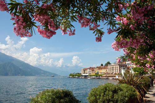 faggeto lario