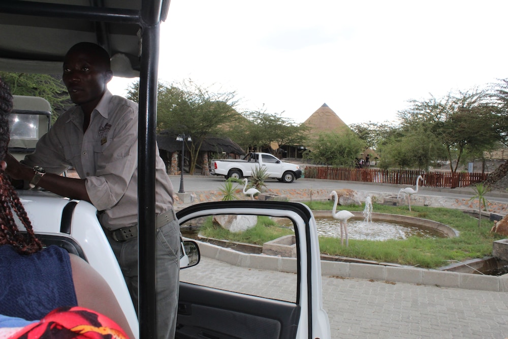 pelican lodge and camping