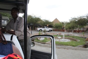 pelican lodge and camping