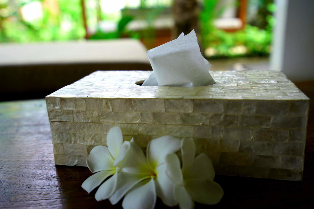 gili luxury villa