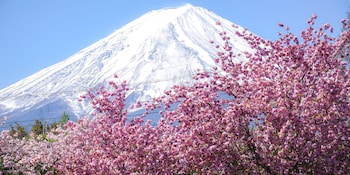 maruyaso