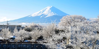 maruyaso