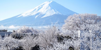 maruyaso