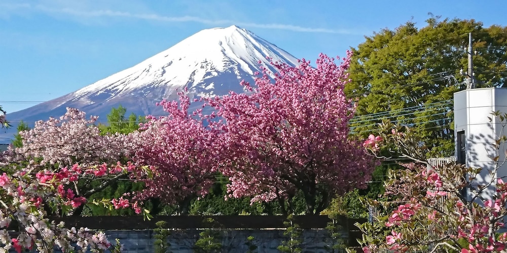 maruyaso