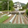 maruyaso