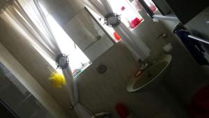 rosebank accommodation