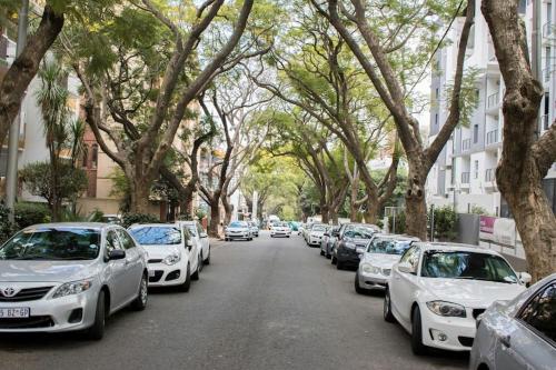 rosebank accommodation
