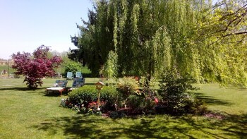 bed and breakfast milu