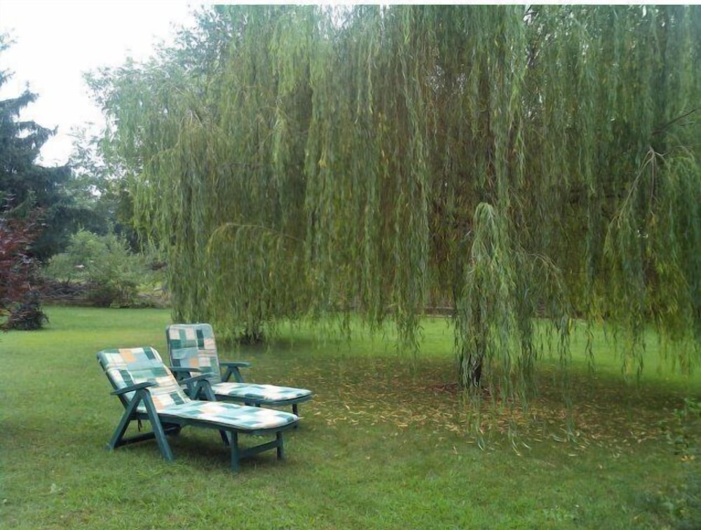 bed and breakfast milu