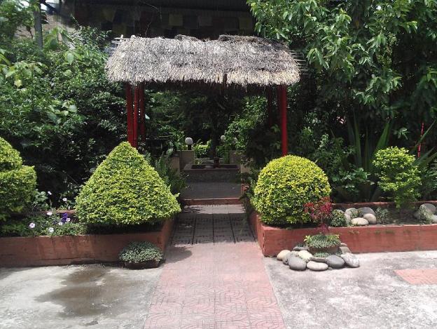 amar hotel