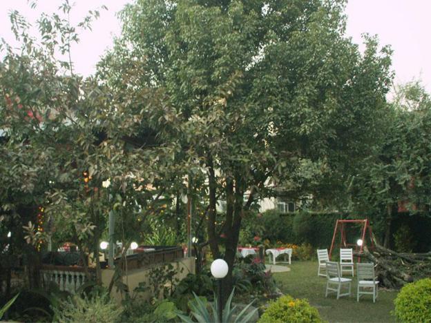 amar hotel