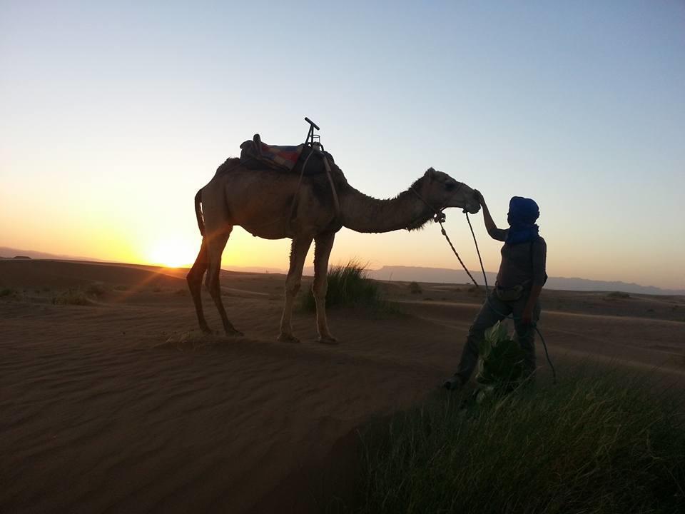 zagora