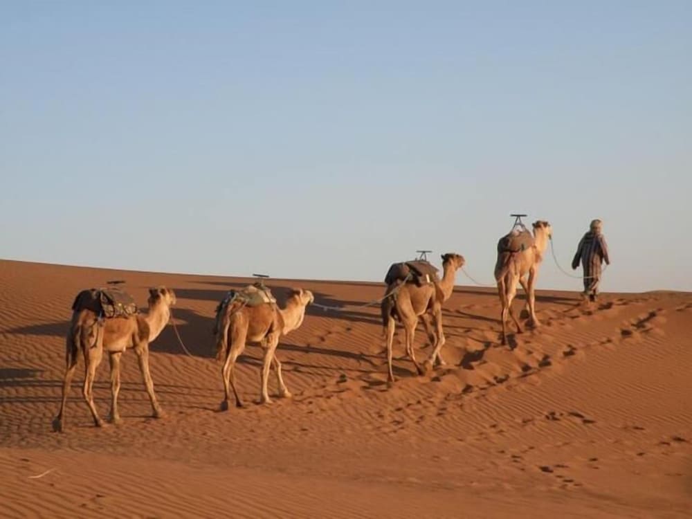 bivouac karim sahara