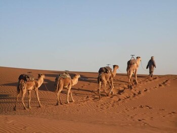 bivouac karim sahara