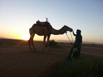 bivouac karim sahara