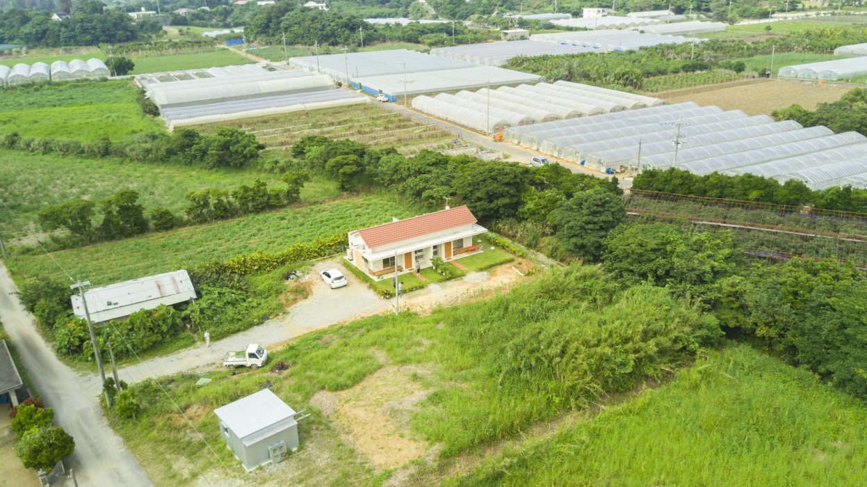 nakijin