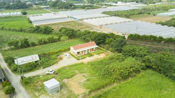 kaeruya