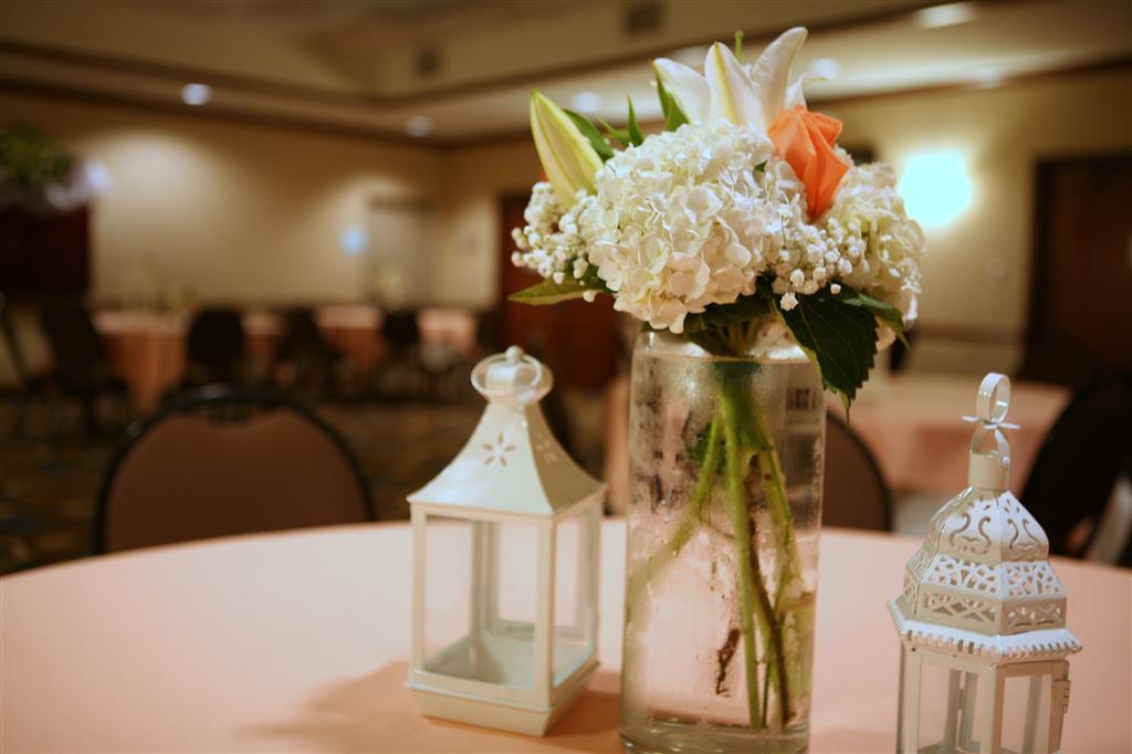 best western plus goldsboro