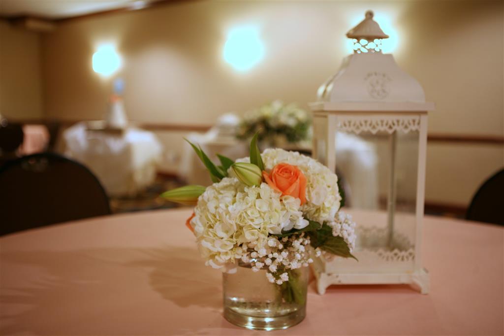 best western plus goldsboro