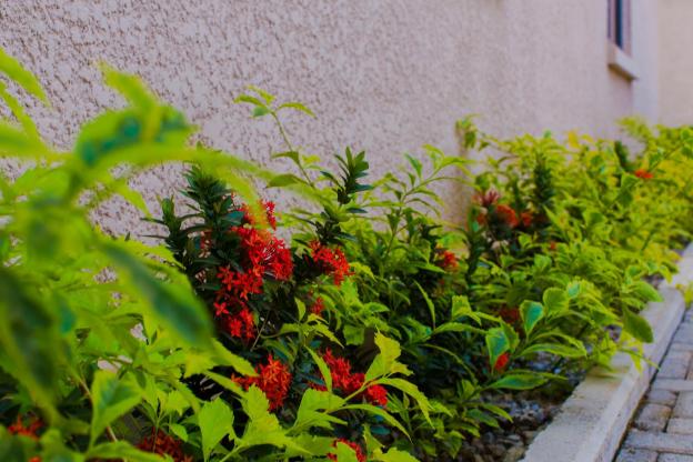 tennys place apartments