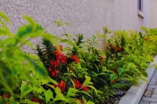 tennys place apartments