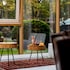 palanga life balance spa hotel