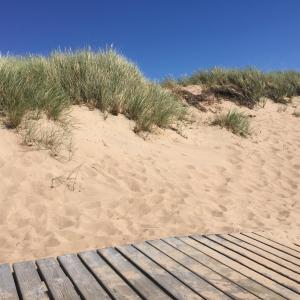 halmstad