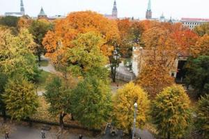 riga