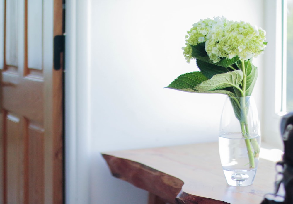 cavilla hotel and apartment