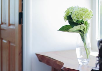 cavilla hotel and apartment