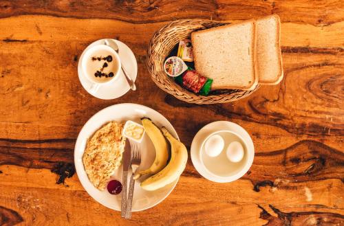 zostel udaipur hostel