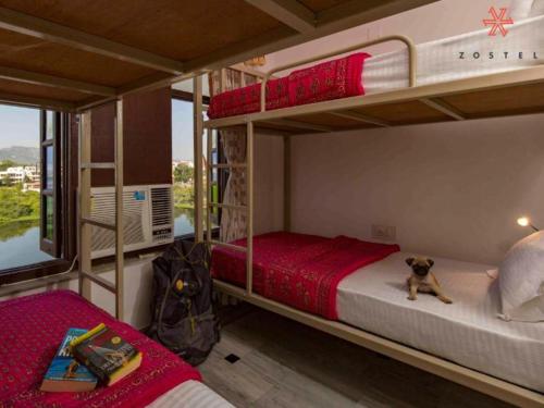 zostel udaipur hostel